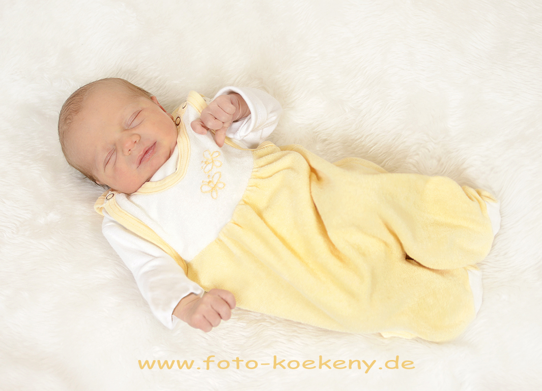Brodschelm Elias Paul 21.01.2019/ 10:21 Uhr