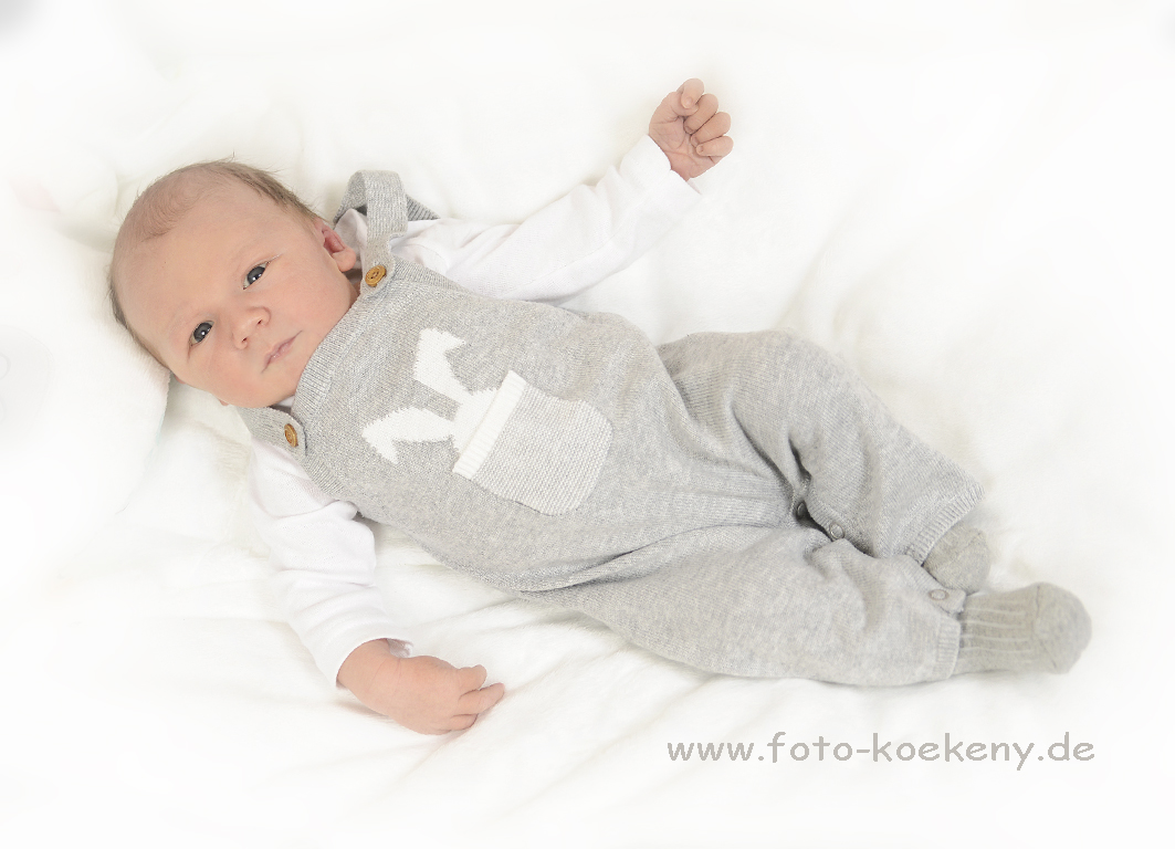 Finn 13.01.2019/ 18:23 Uhr