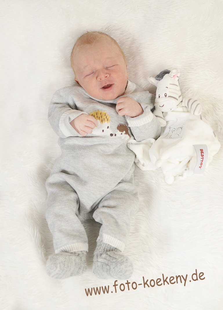 H Georg 21.01.2019/ 02:46 Uhr