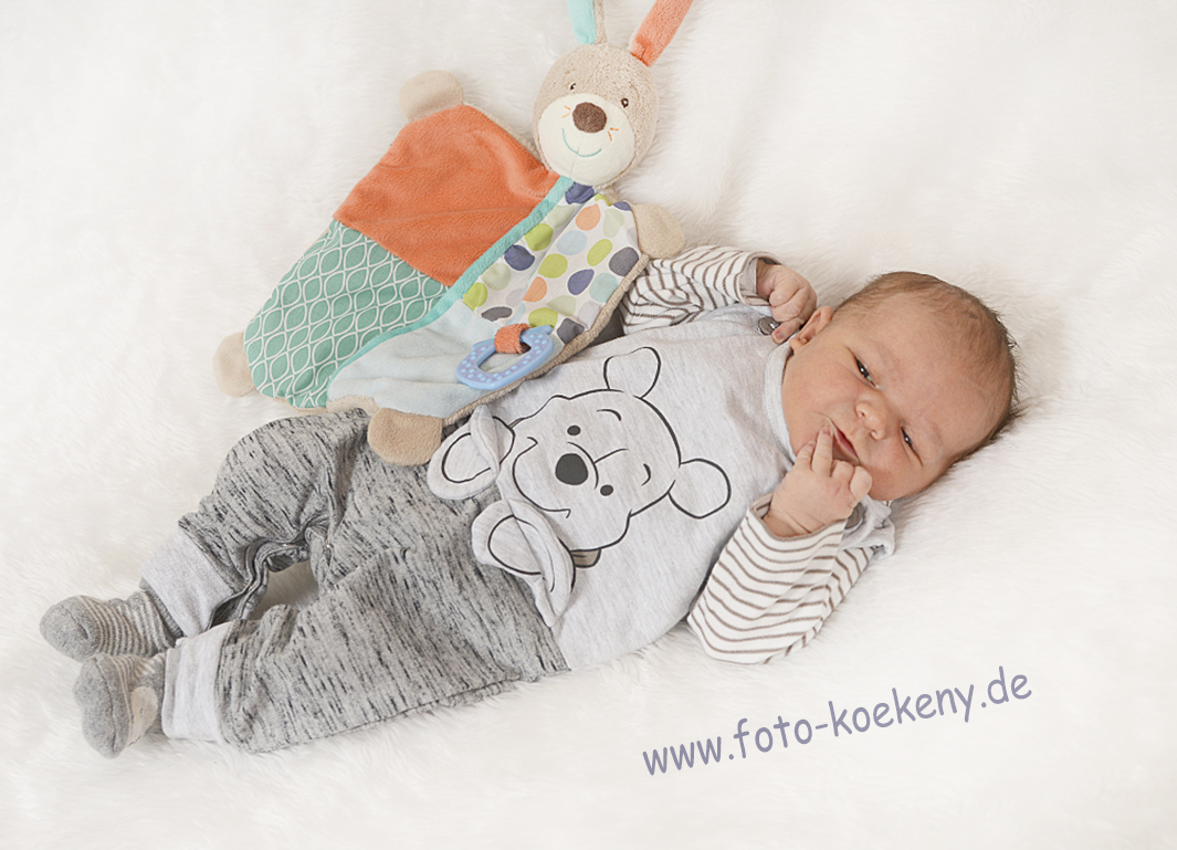 Maximilian Robert 20.01.2019/ 22:14 Uhr