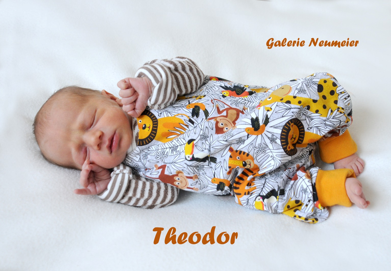 Theodor Tizian 22.08.2019/ 12:10 Uhr