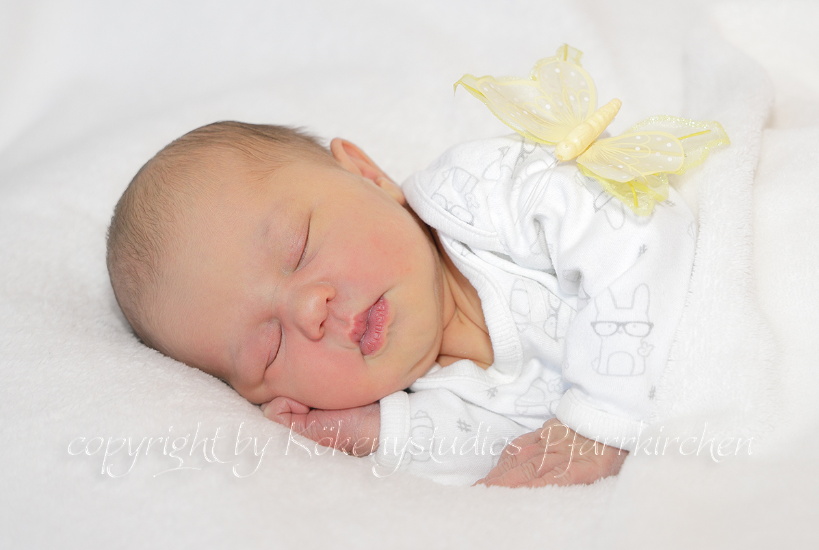 Paula Andrea 03.02.2020/ 15:39 Uhr