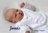 M Jonas 13.03.2019/ 09:35 Uhr
