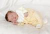 Wimmer Sophia 01.03.2019/ 18:28 Uhr