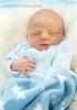 Zahn Felix Manfred 13.04.2019/10:58 Uhr