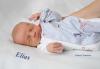 Dorfner Elias Janik 26.05.2019/ 16:342 Uhr