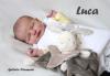 Luca