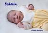 Schettler Scherin Sophie 17.05.2019/ 07:21 Uhr