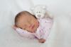 Johanna 22.06.2019/ 08:29 Uhr