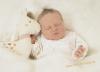 Niedermeier Annika 08.09.2019/23:29 Uhr