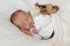 Eherer Simon, 19.02.2020/ 22:57 Uhr