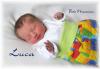 Stegmüller Luca Hermann 03.03.2020/ 02:40 Uhr